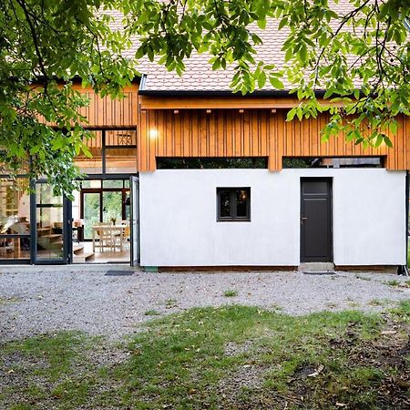 Cîmpu Cetăţii Aster Panzio Bed & Breakfast エクステリア 写真