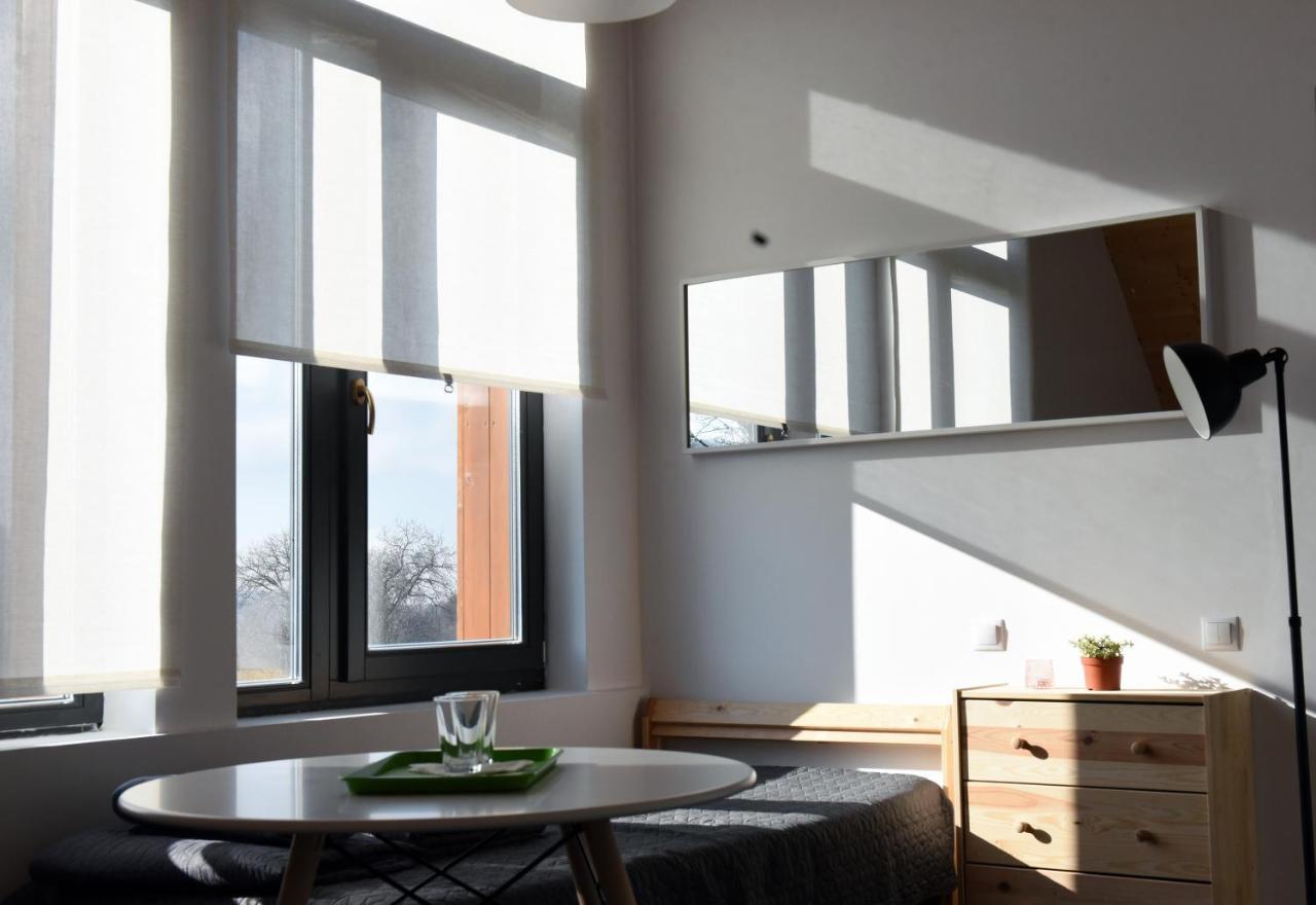Cîmpu Cetăţii Aster Panzio Bed & Breakfast エクステリア 写真