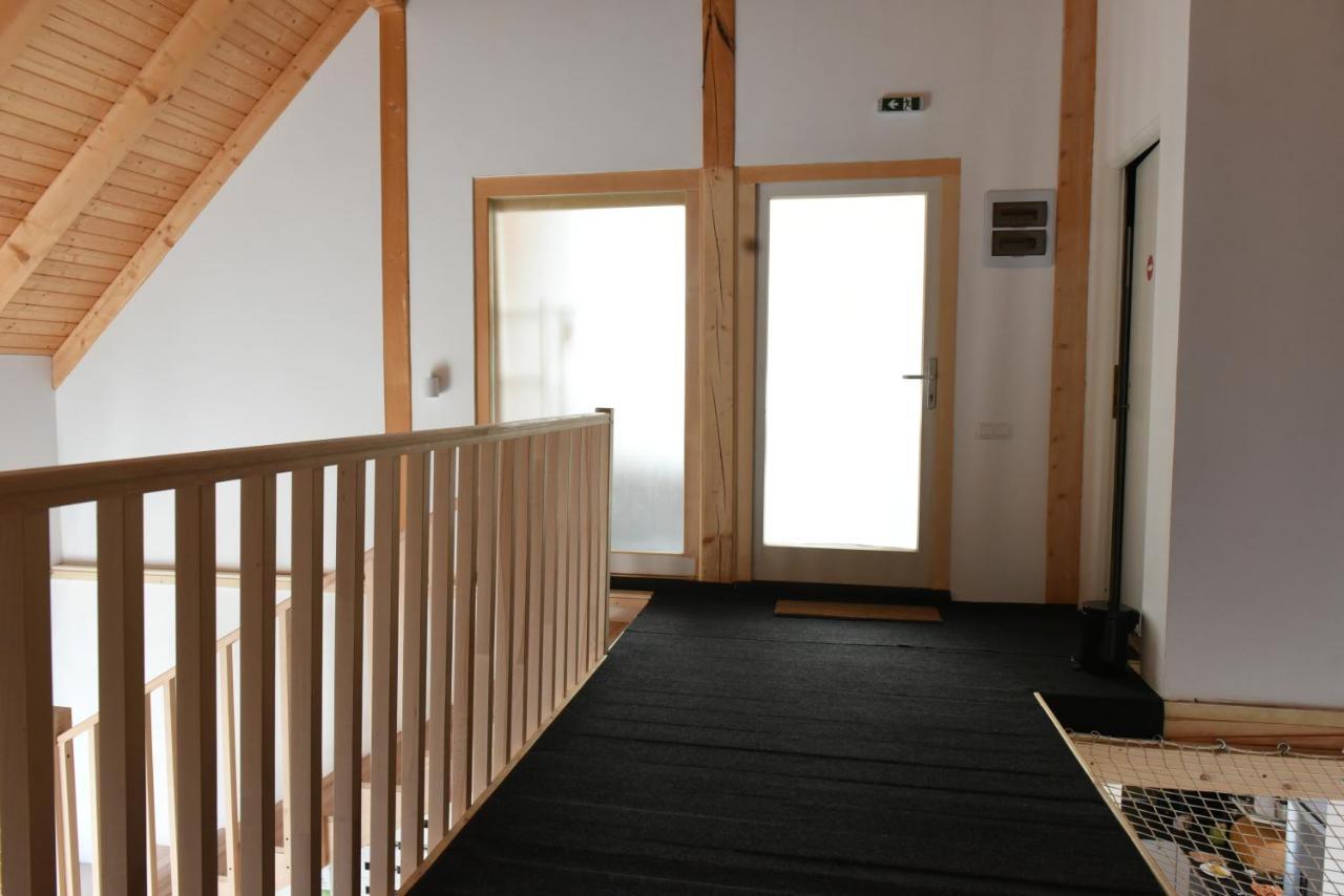 Cîmpu Cetăţii Aster Panzio Bed & Breakfast エクステリア 写真