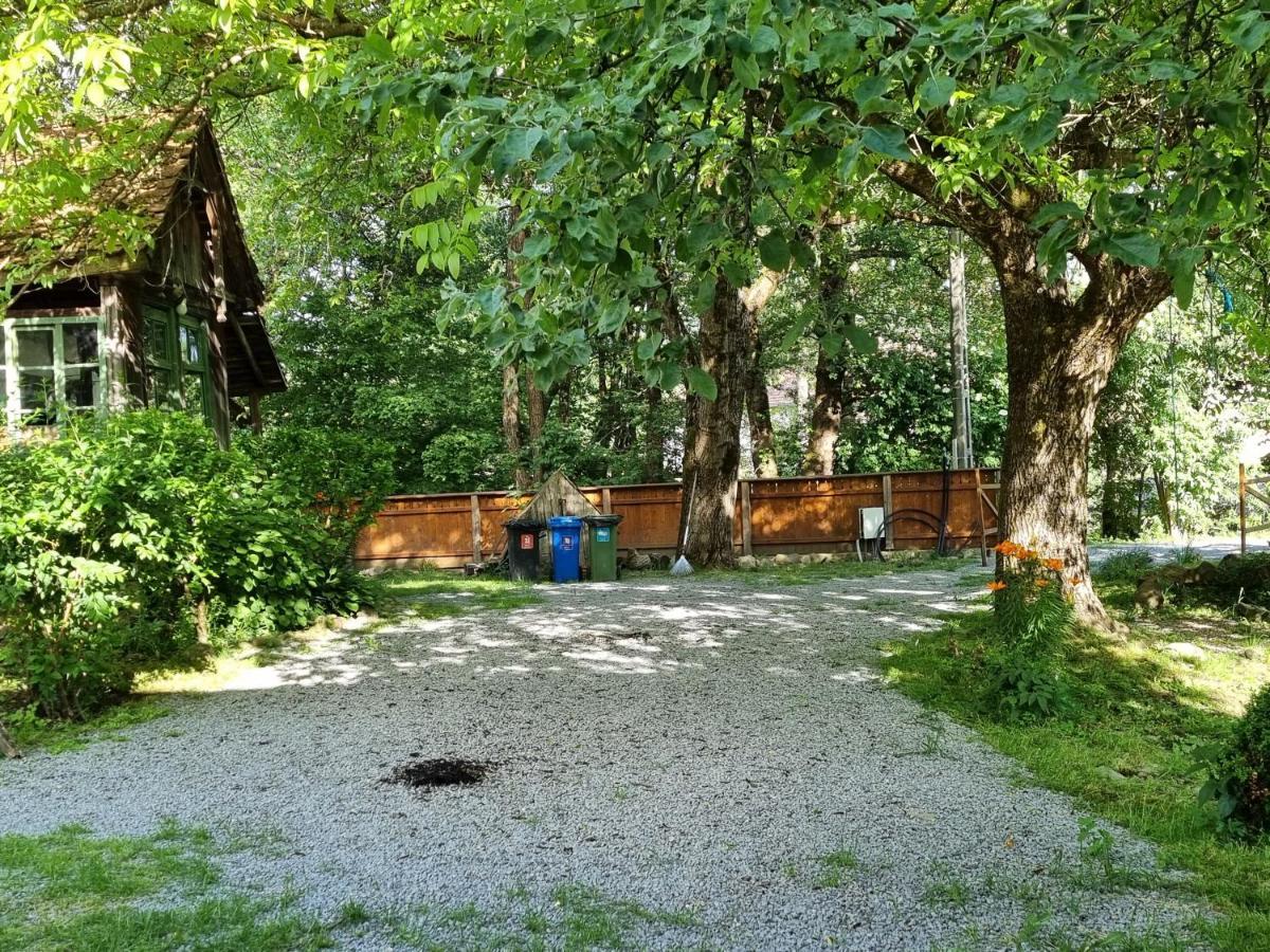 Cîmpu Cetăţii Aster Panzio Bed & Breakfast エクステリア 写真