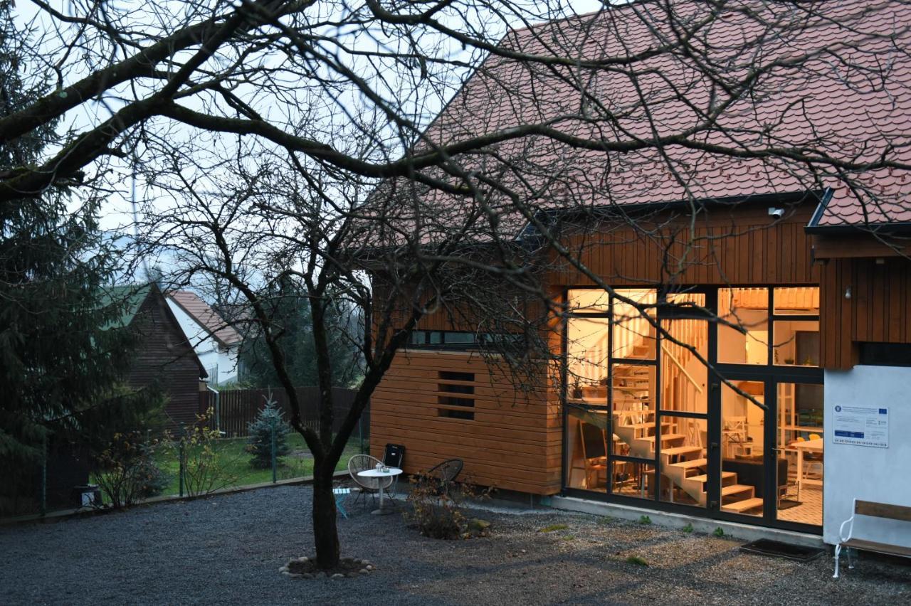 Cîmpu Cetăţii Aster Panzio Bed & Breakfast エクステリア 写真