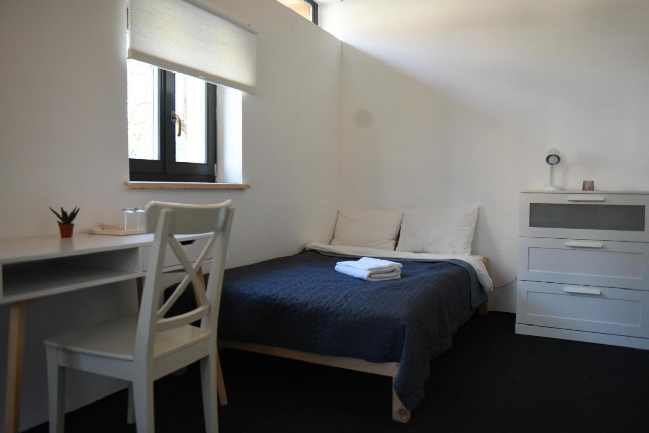 Cîmpu Cetăţii Aster Panzio Bed & Breakfast エクステリア 写真
