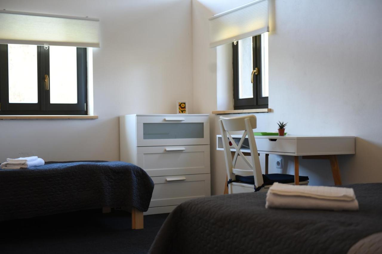 Cîmpu Cetăţii Aster Panzio Bed & Breakfast エクステリア 写真