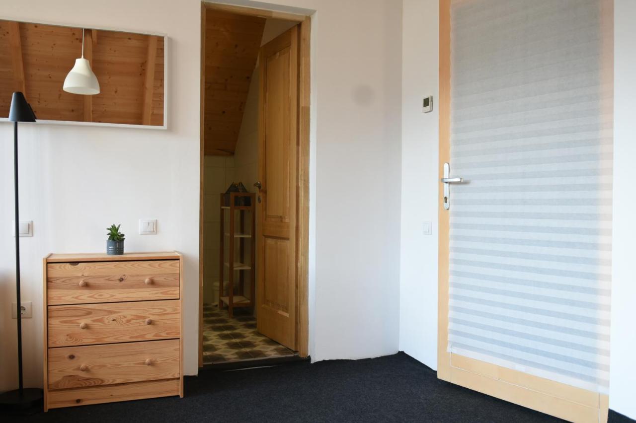Cîmpu Cetăţii Aster Panzio Bed & Breakfast エクステリア 写真