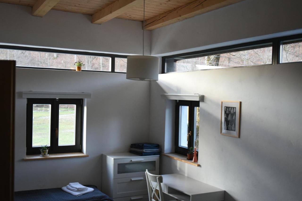 Cîmpu Cetăţii Aster Panzio Bed & Breakfast エクステリア 写真