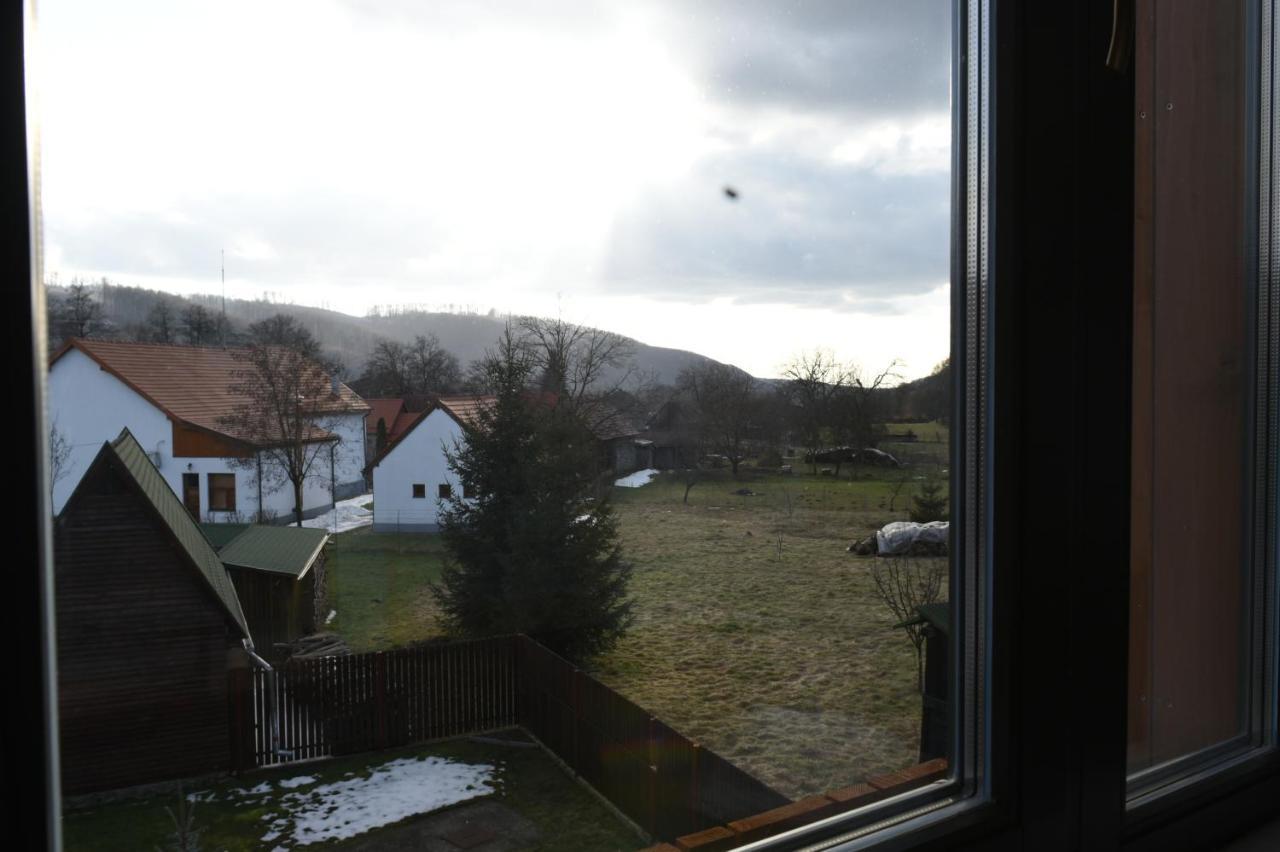Cîmpu Cetăţii Aster Panzio Bed & Breakfast エクステリア 写真